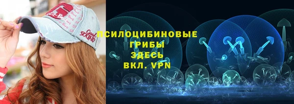 стаф Нефтегорск